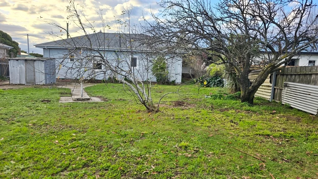 Image 12