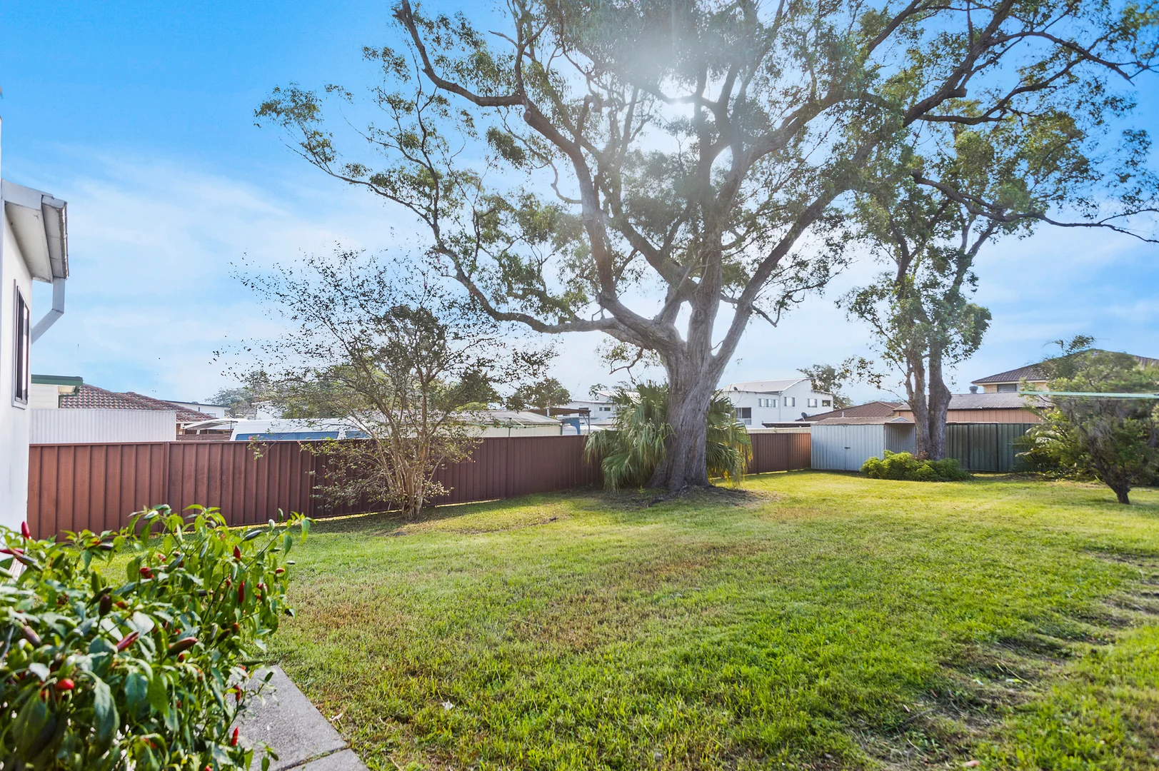 Additional image 6 of 100 Wentworth Street, Oak Flats NSW 2529