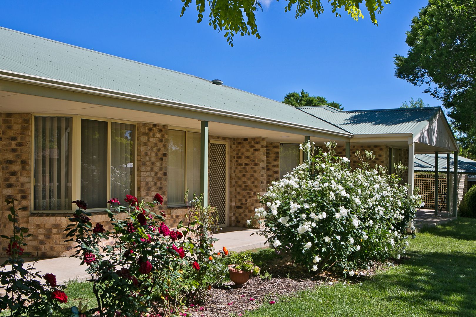 15 Albert Street Orange Nsw 2800 Apartment For Rent 55 Domain