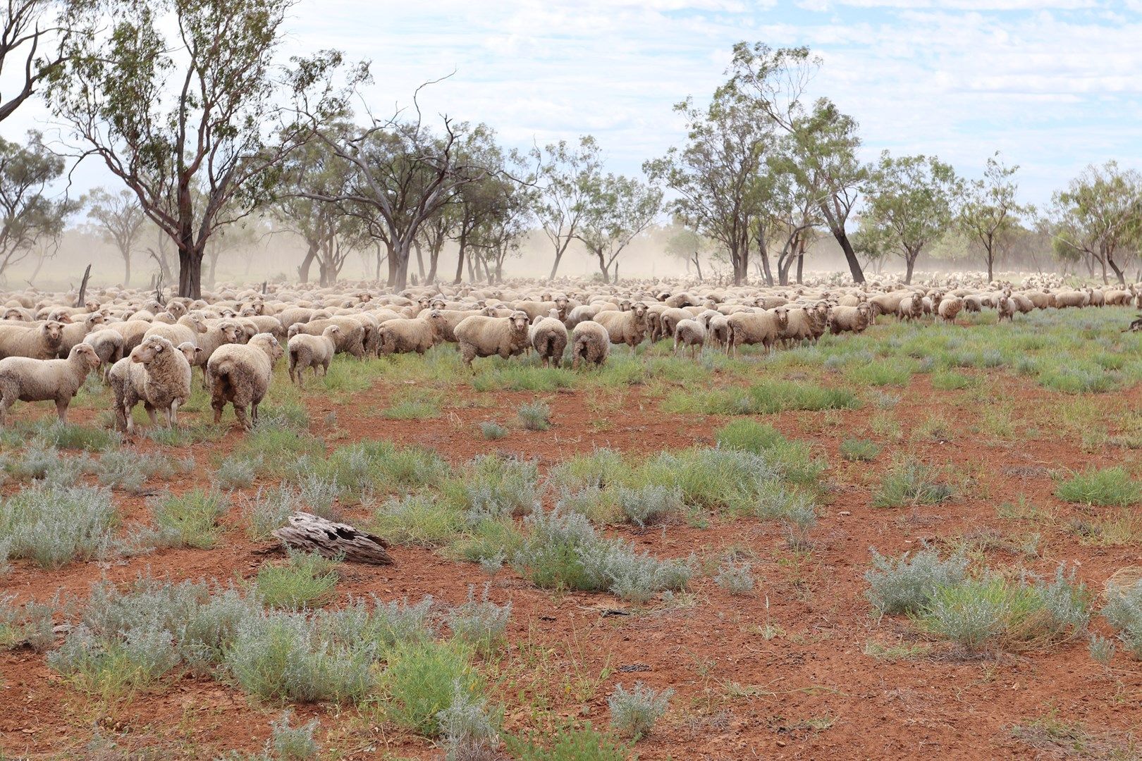 0 Balonne Highway, Cunnamulla QLD 4490, Image 0