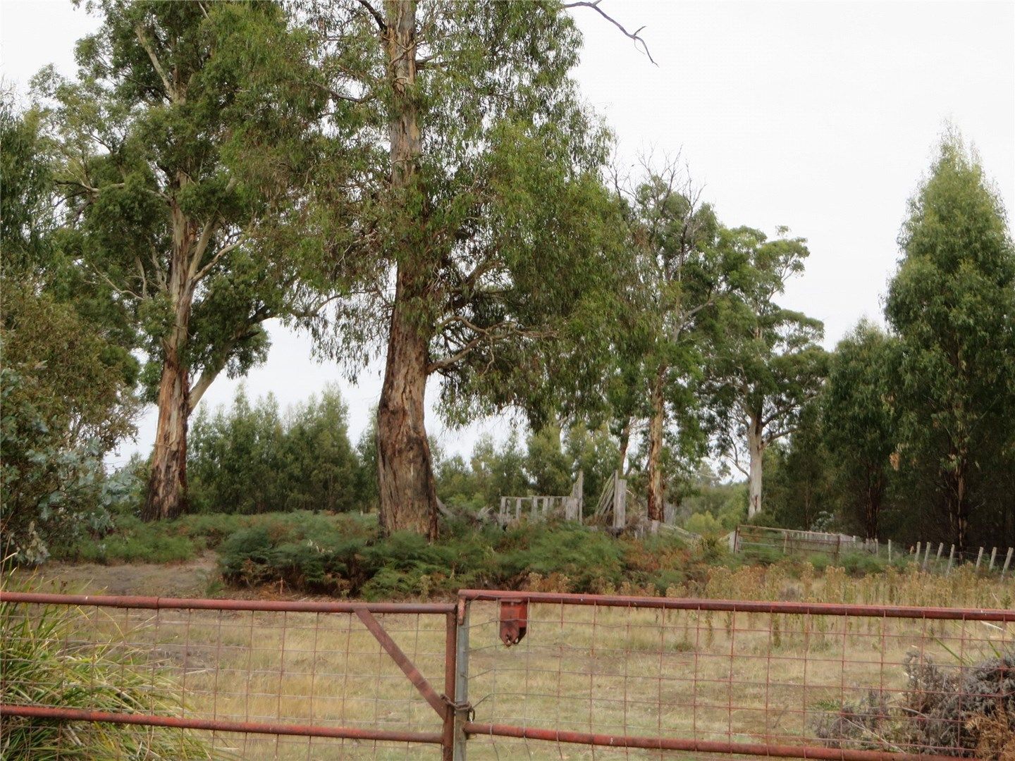 1 Lanes Tier Road, Osterley TAS 7140, Image 0