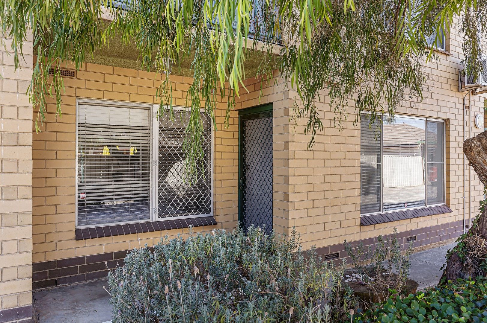 2/2 Tennyson Street, Kurralta Park SA 5037, Image 0