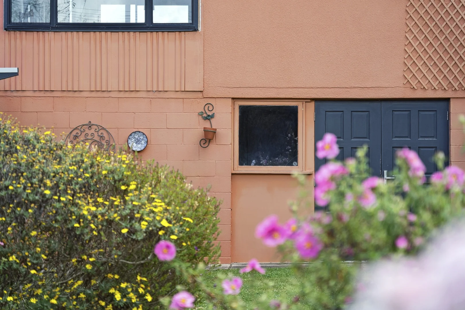 Image 26