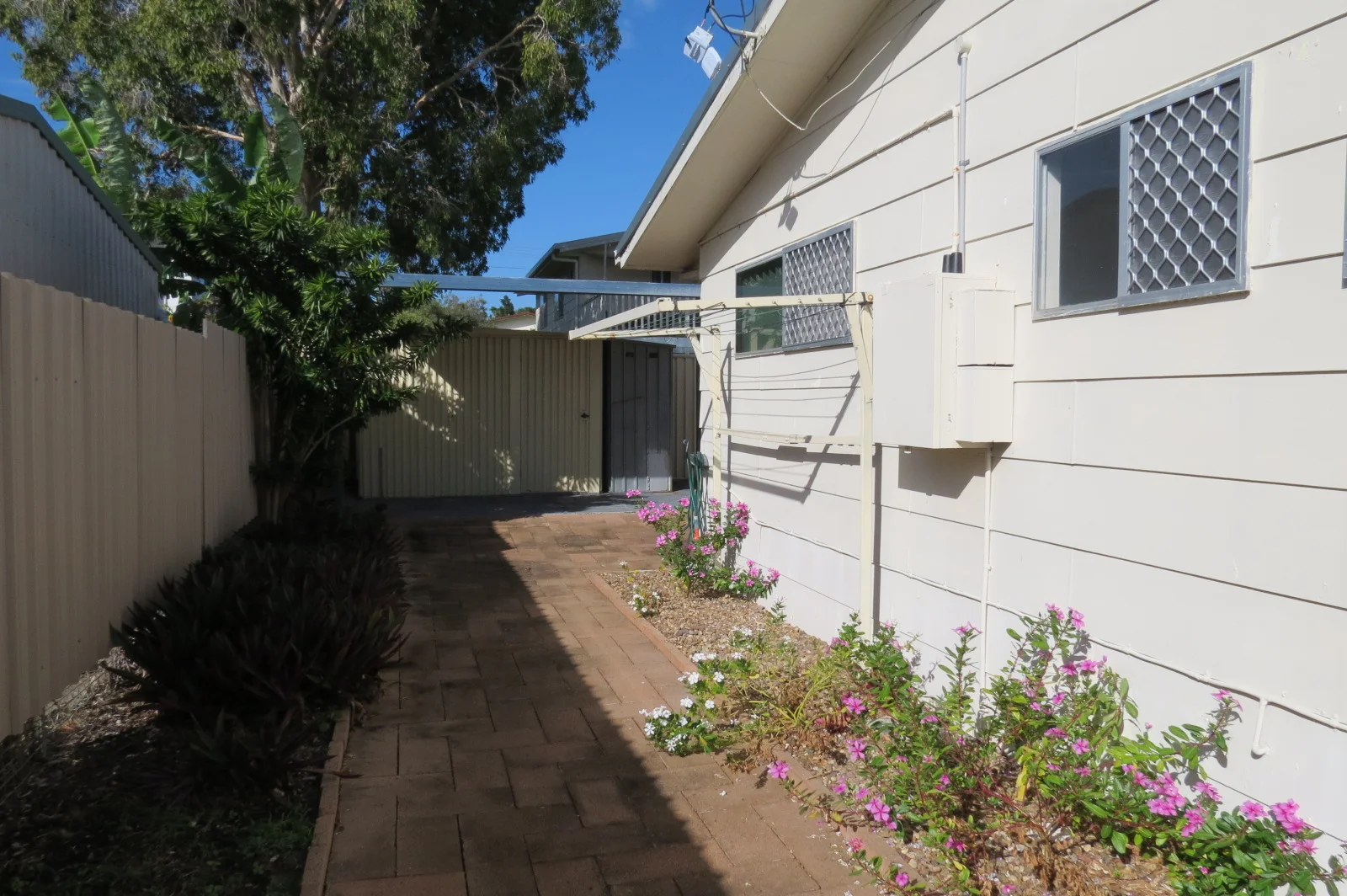Image 15