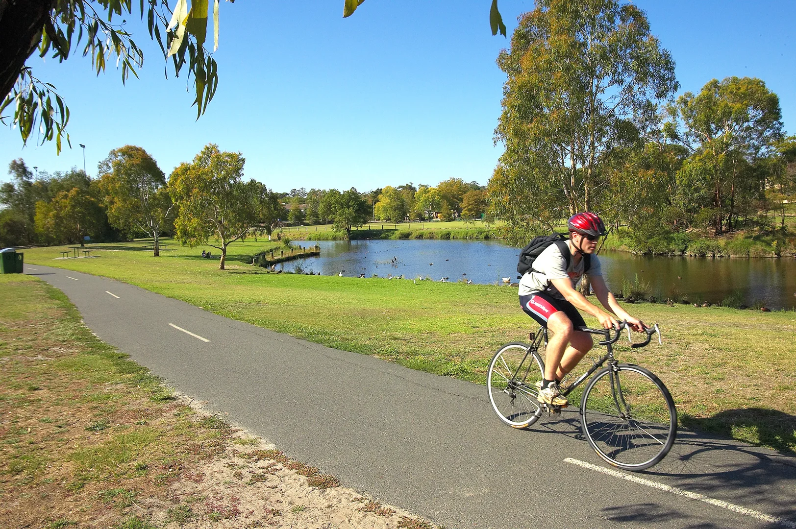 Additional image 10 of 4 Norwood Street, Glen Iris VIC 3146