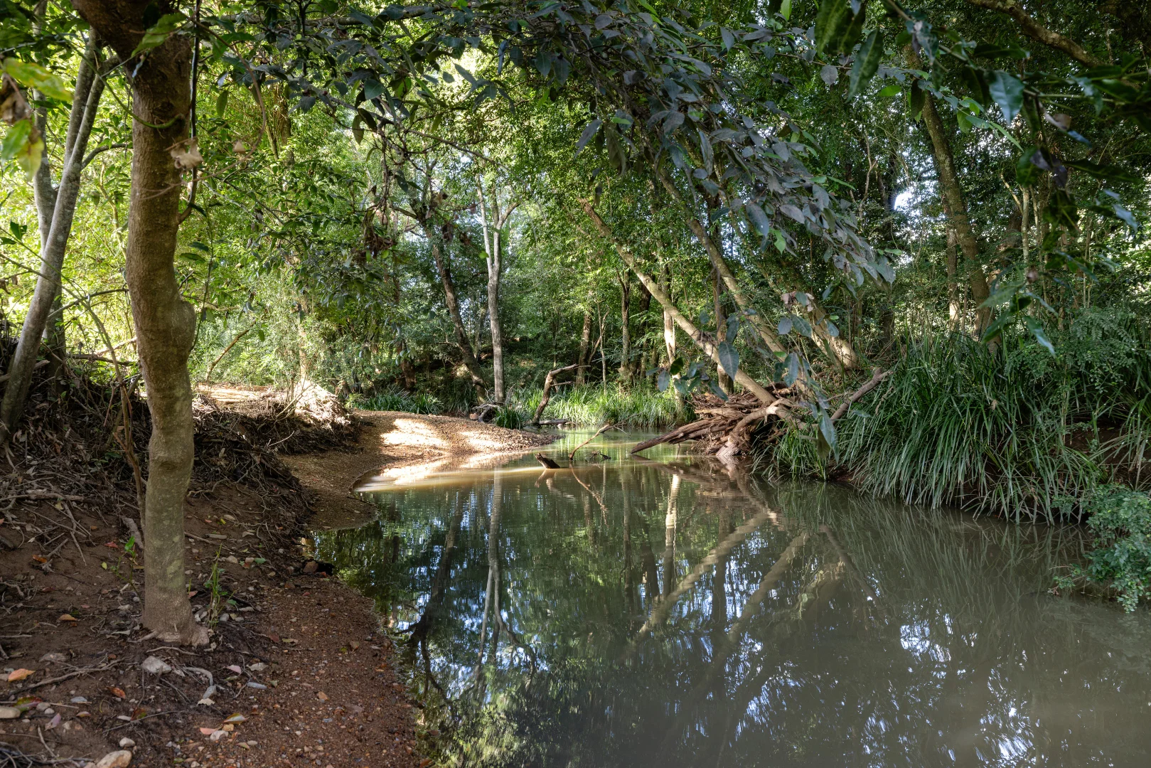 Image 39