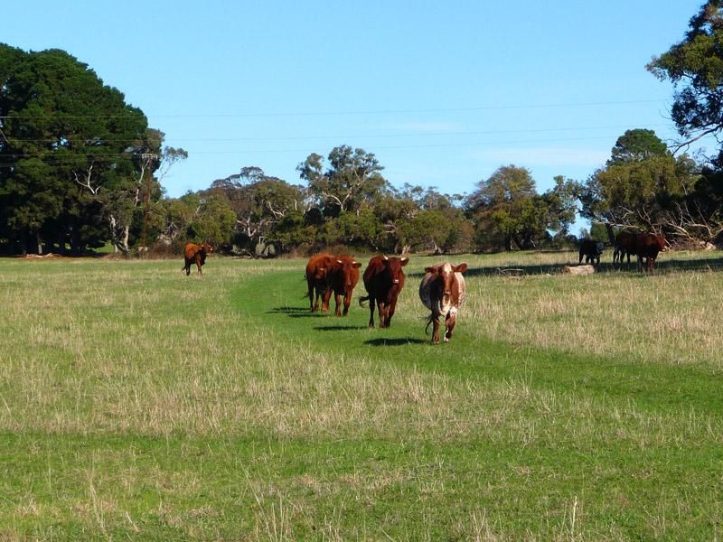 Section 306 Victor Harbor Road, MOUNT JAGGED SA 5211, Image 0