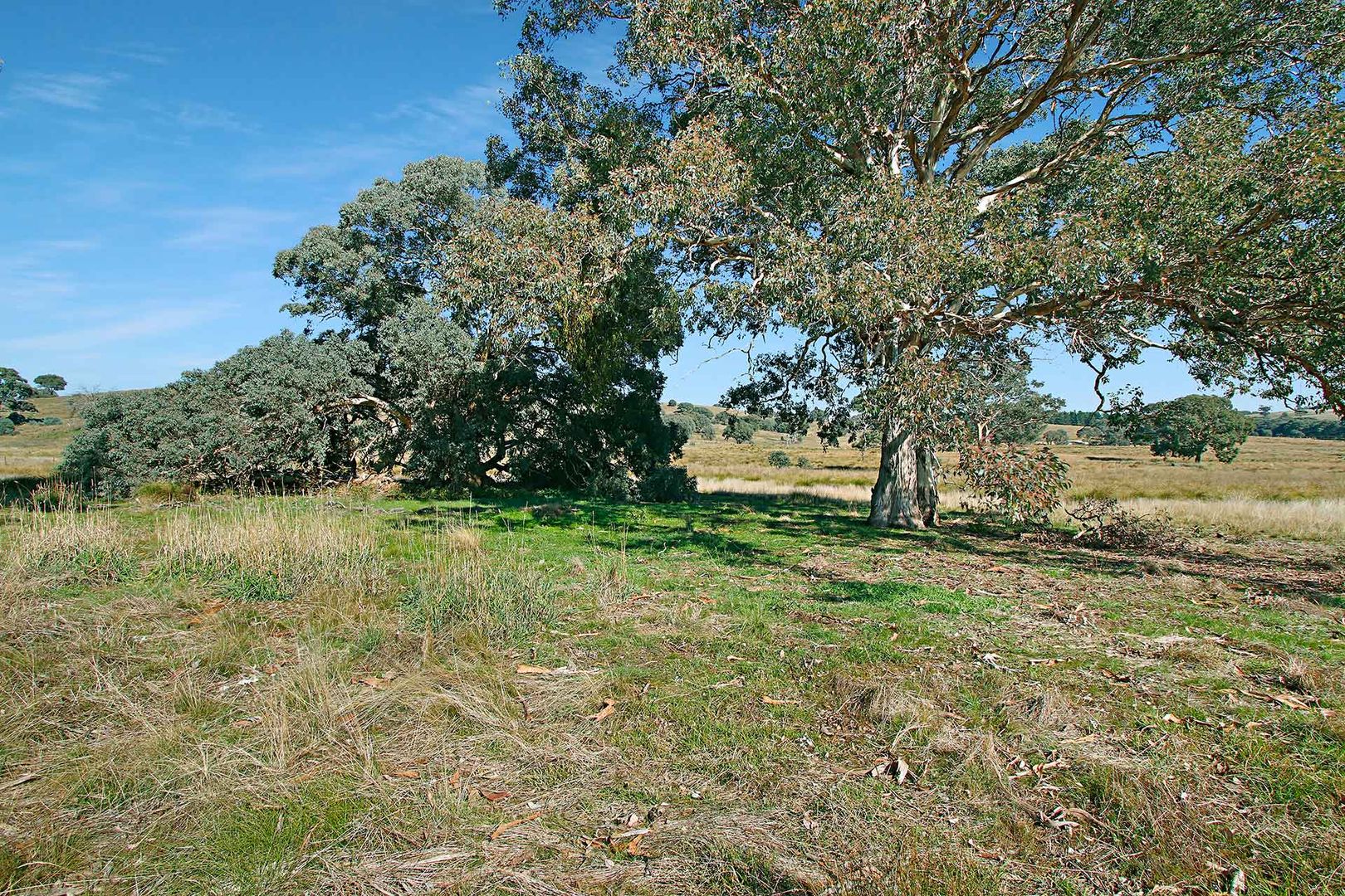 73 Dp 754140 Rugby Road Bevendale, Gunning NSW 2581, Image 1