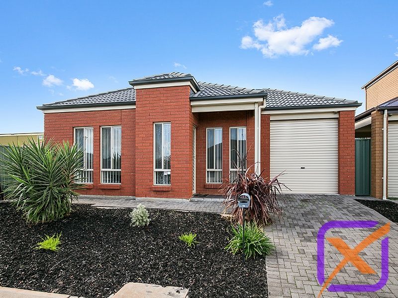 16 Dover Place, Elizabeth Park SA 5113, Image 0