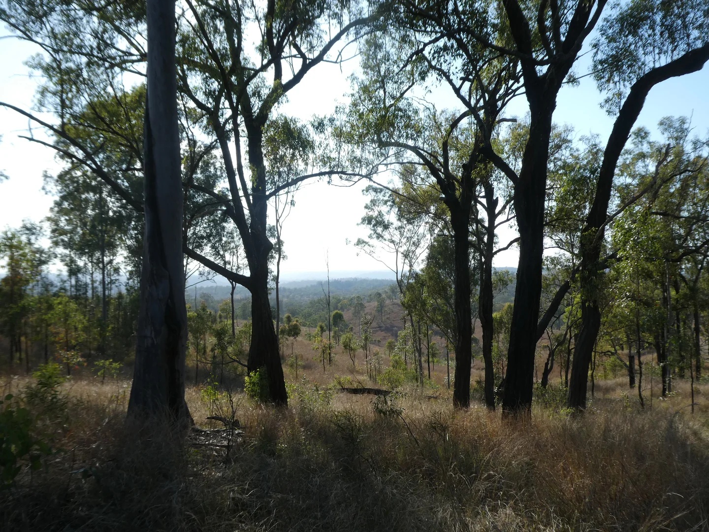 Image 11