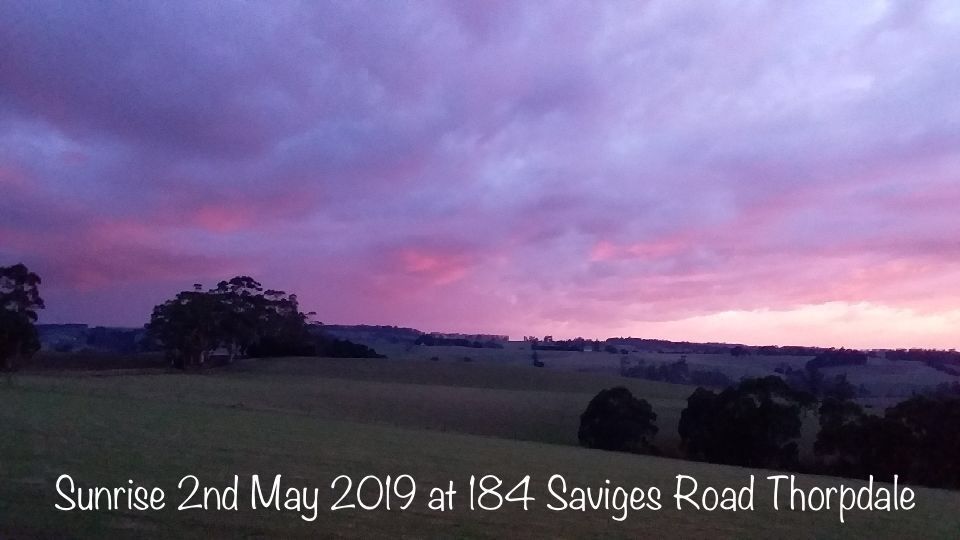 184 Saviges Road, Thorpdale VIC 3835, Image 2