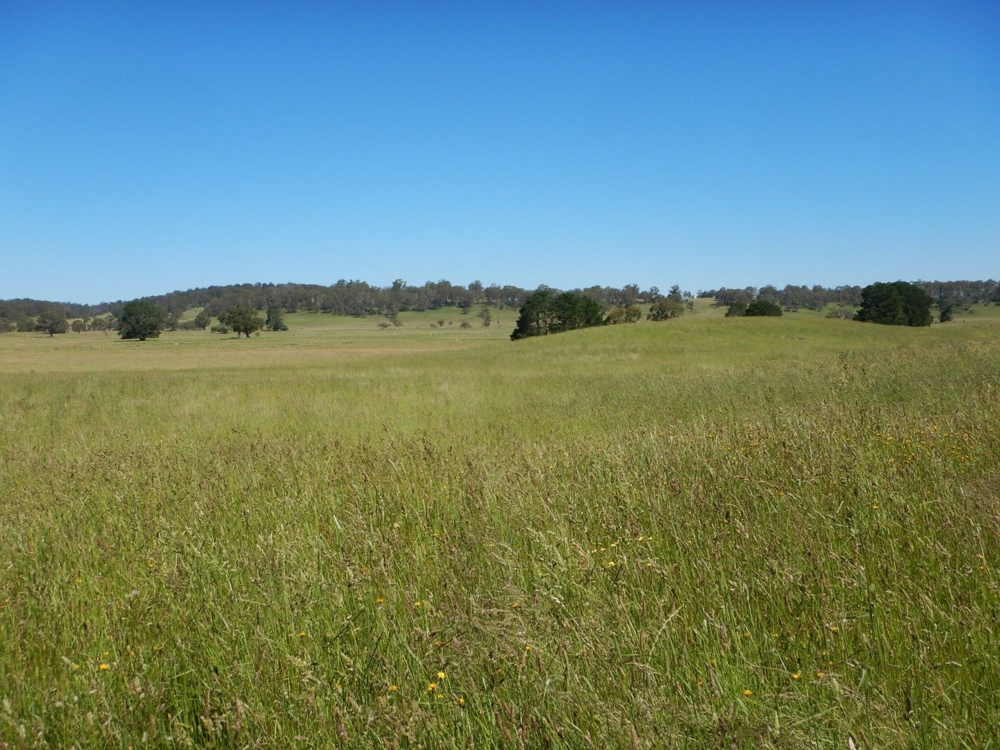 LOT 2 Mount Darragh Road, Cathcart NSW 2632, Image 0