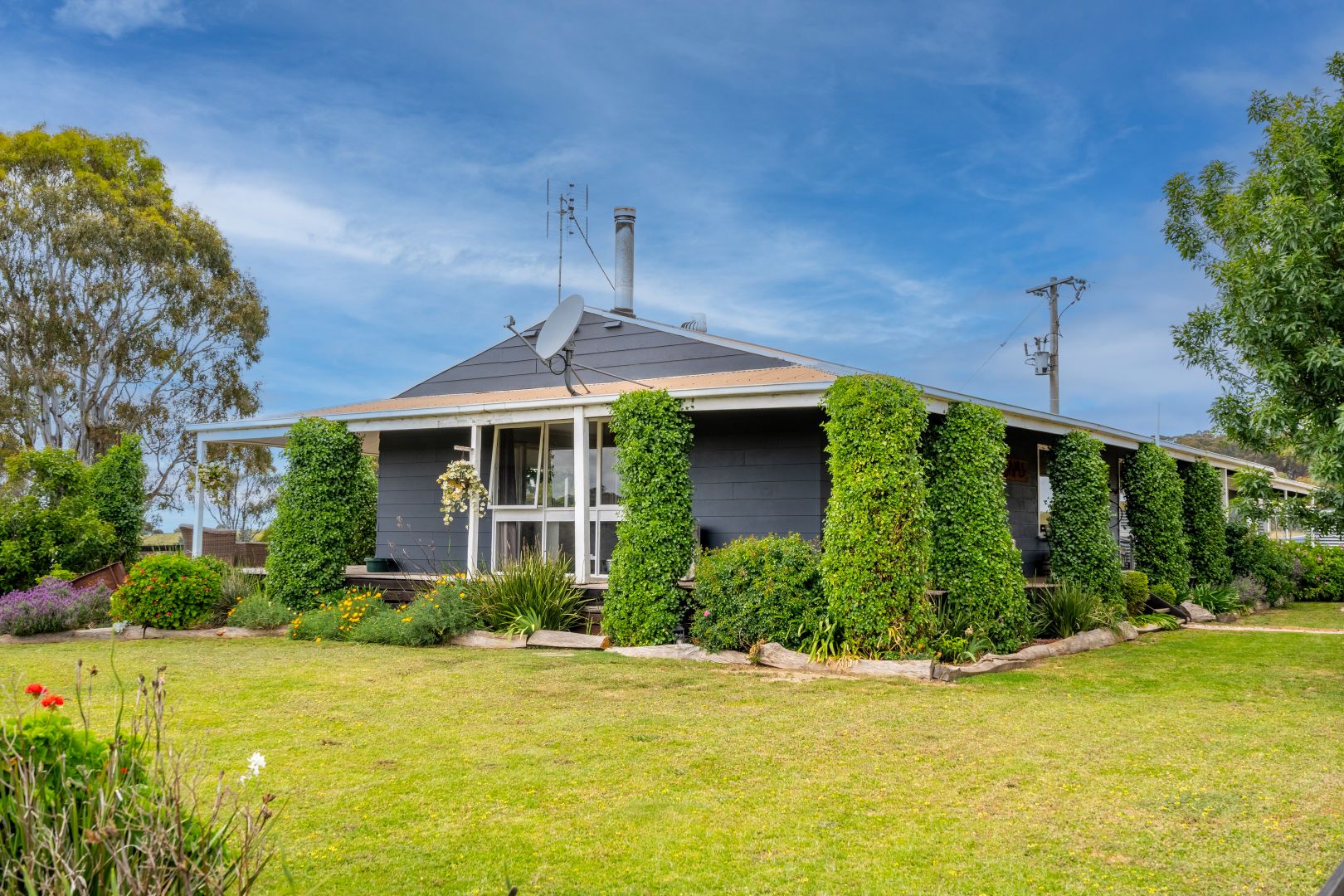 1335 Seymour-Tooborac Road, Hilldene VIC 3660, Image 1