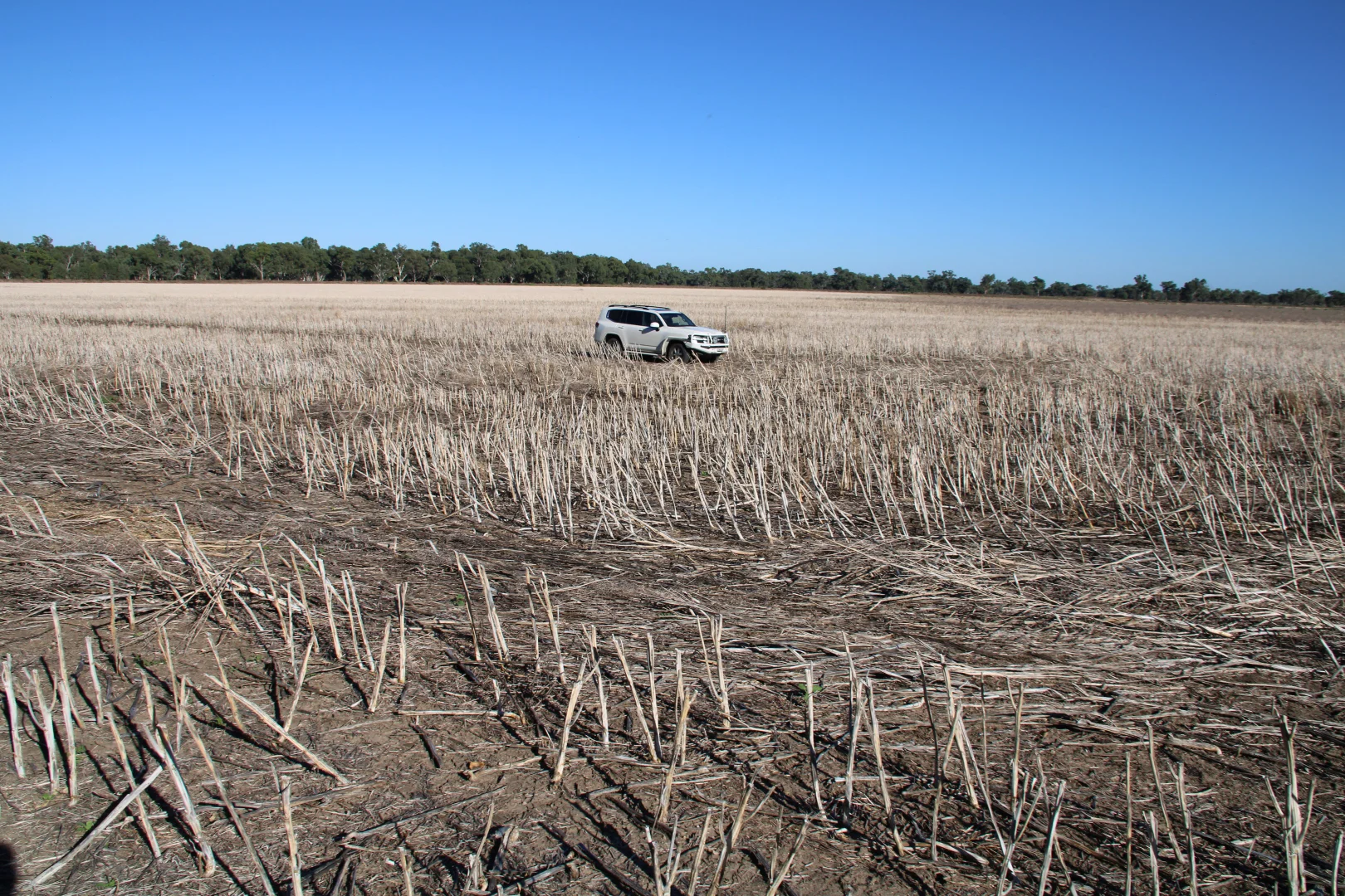 Additional image 22 of 20841 Kamilaroi Highway, Narrabri NSW 2390