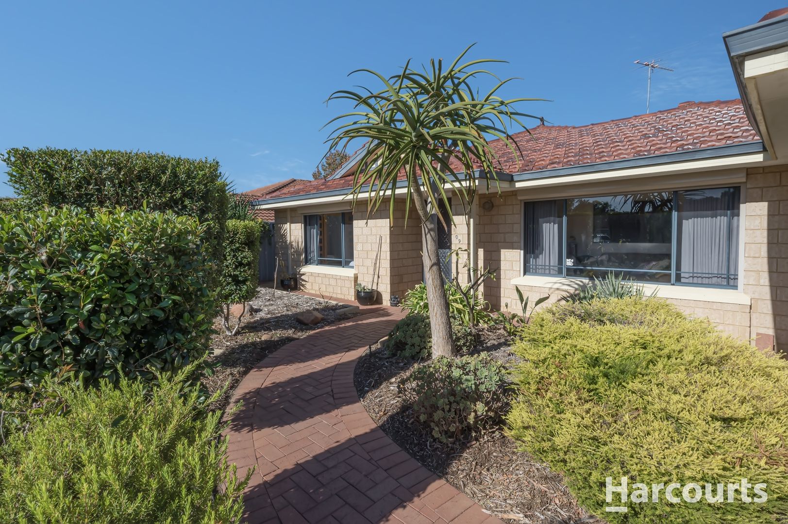 109 Caledonia Avenue, Currambine WA 6028 House For Rent 900 Domain