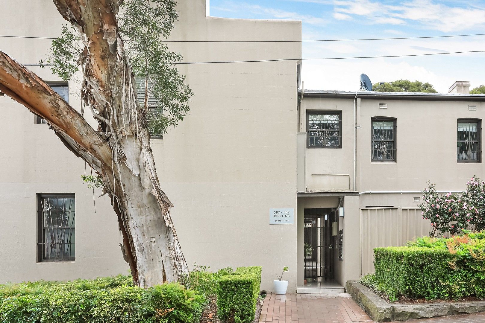 14/587-589 Riley Street, Surry Hills NSW 2010, Image 0