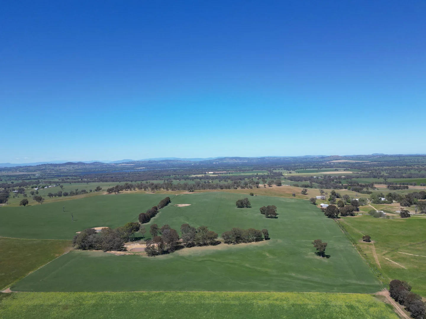 Additional image 6 of 798 Bethel Road, Glenellen NSW 2642