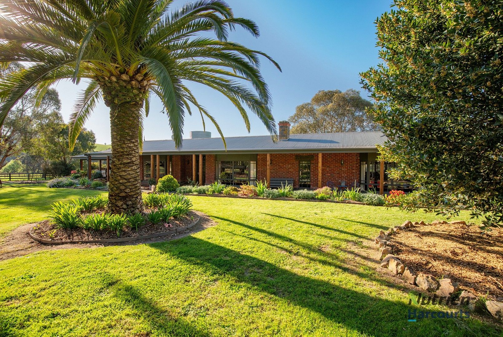 3965 Melba Highway, Glenburn VIC 3717 Farm for Sale Domain