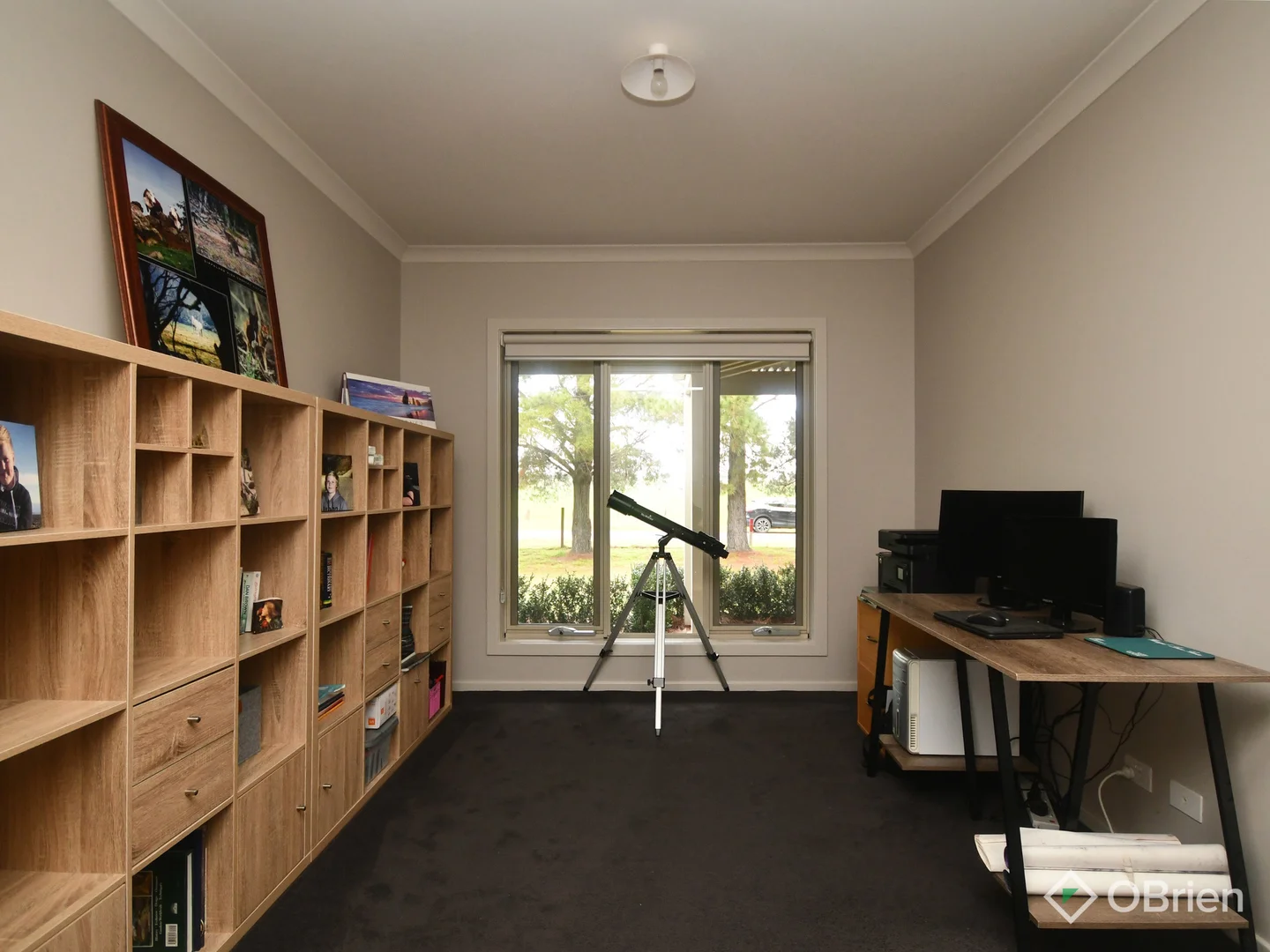 Image 13