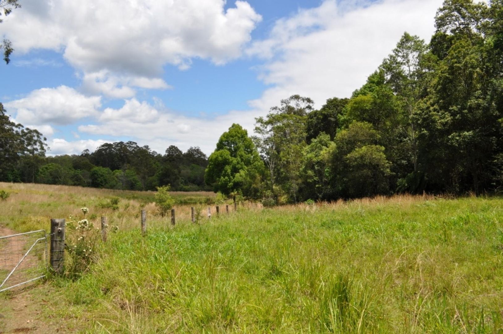 Lot 1-64 Dures Lane, Tamban NSW 2441, Image 2