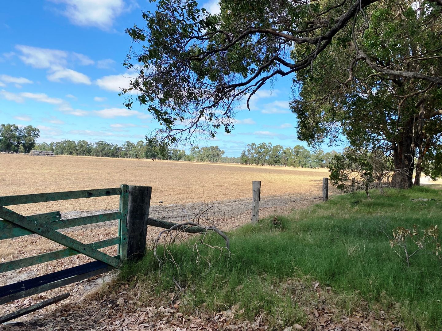 Lot 1 Garvey Road (Crooked Brook), Dardanup WA 6236 Specialist Farm