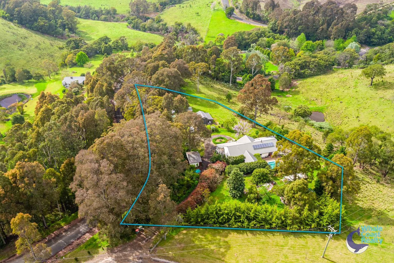 427 Punkalla Tilba Road, Central Tilba NSW 2546, Image 1