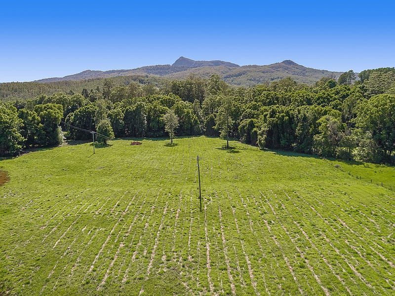 1 Back Creek Road, Brays Creek NSW 2484, Image 0