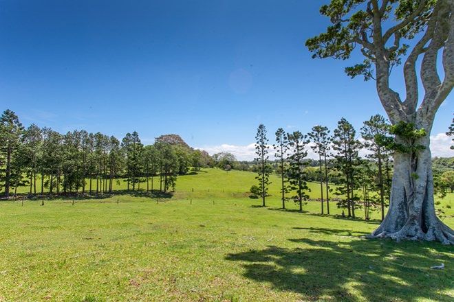 Picture of Lot 3 Old Byron Bay Road, NEWRYBAR NSW 2479