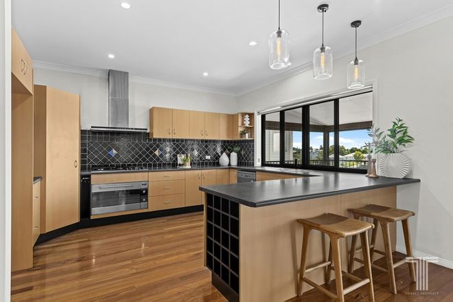 41 Ernest Street Camp Hill 4152 - Image 4