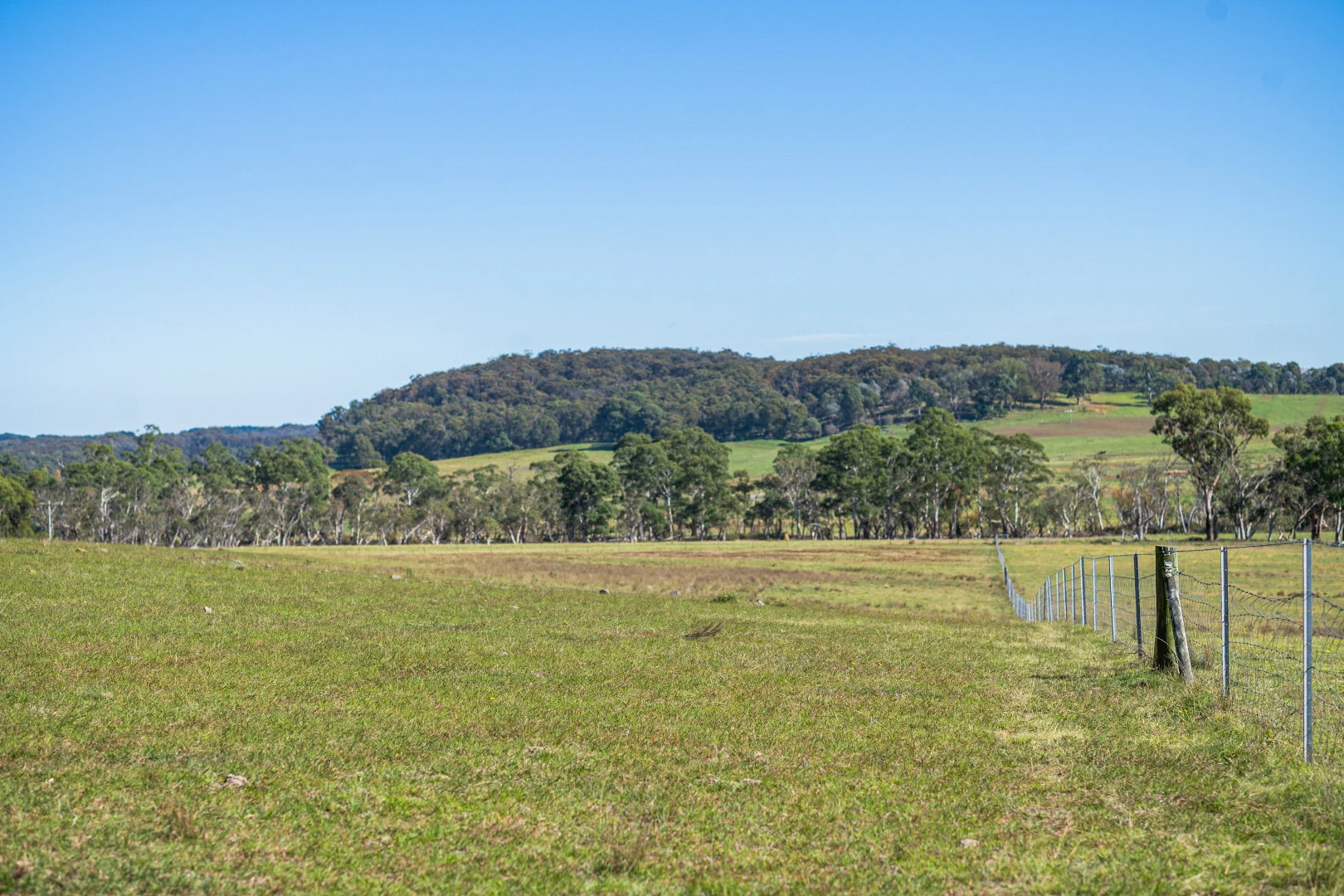 Image 16
