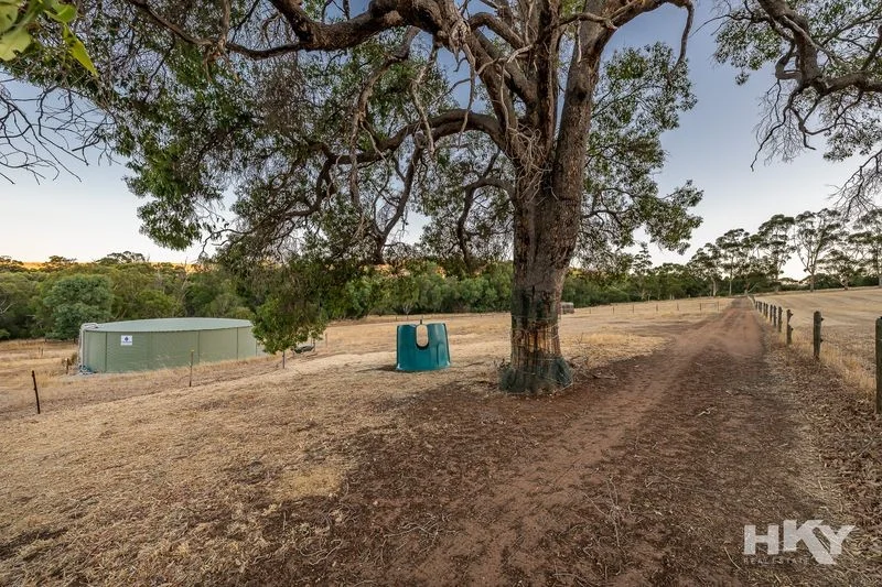 Image 30