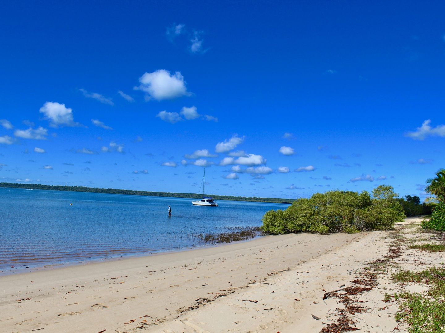 161 Boronia Drive, Poona QLD 4650 Domain