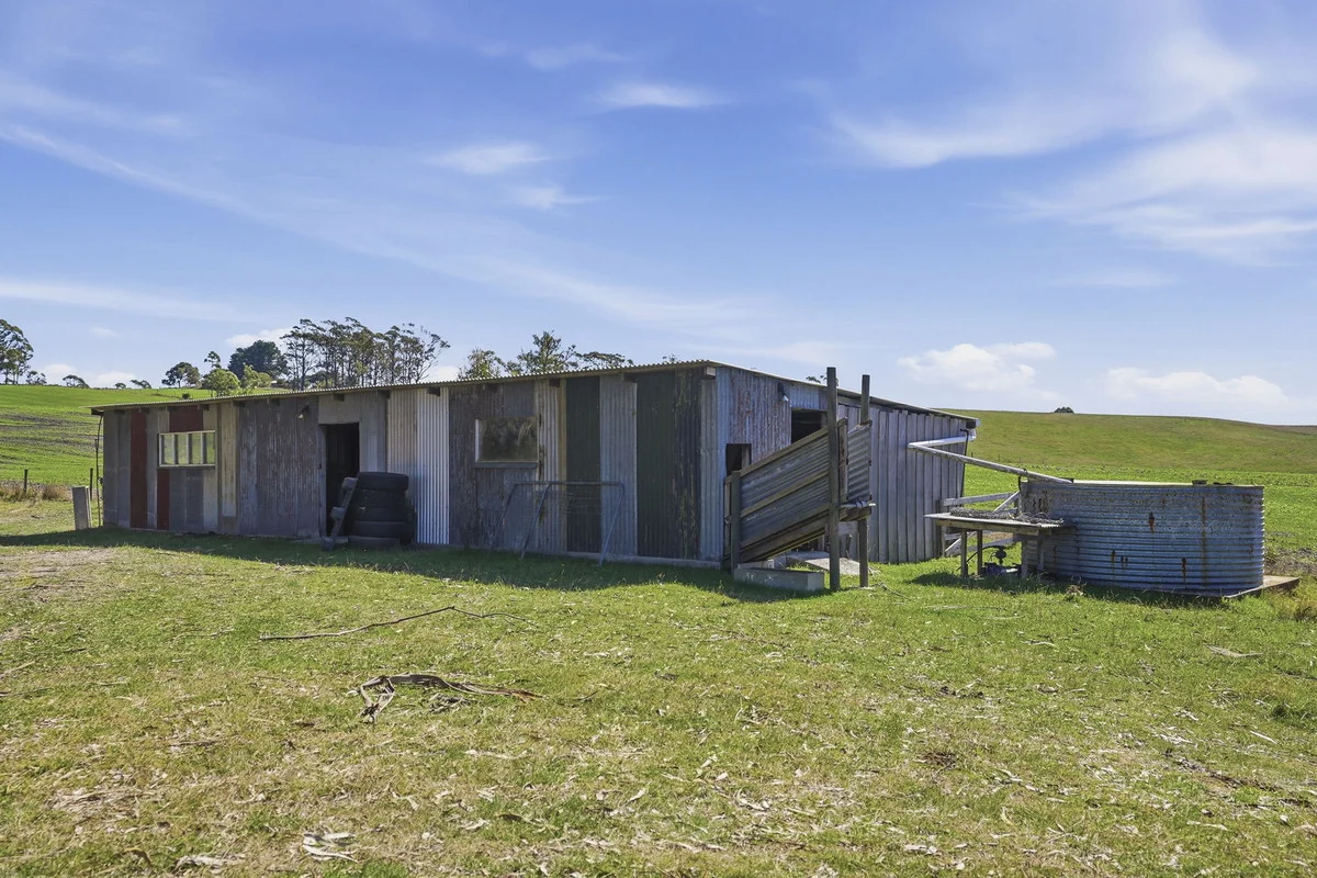 Image 31