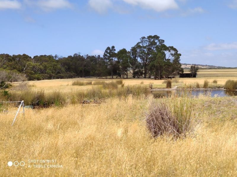 Lot 31 Two Peoples Bay Rd, Kalgan WA 6330, Image 0