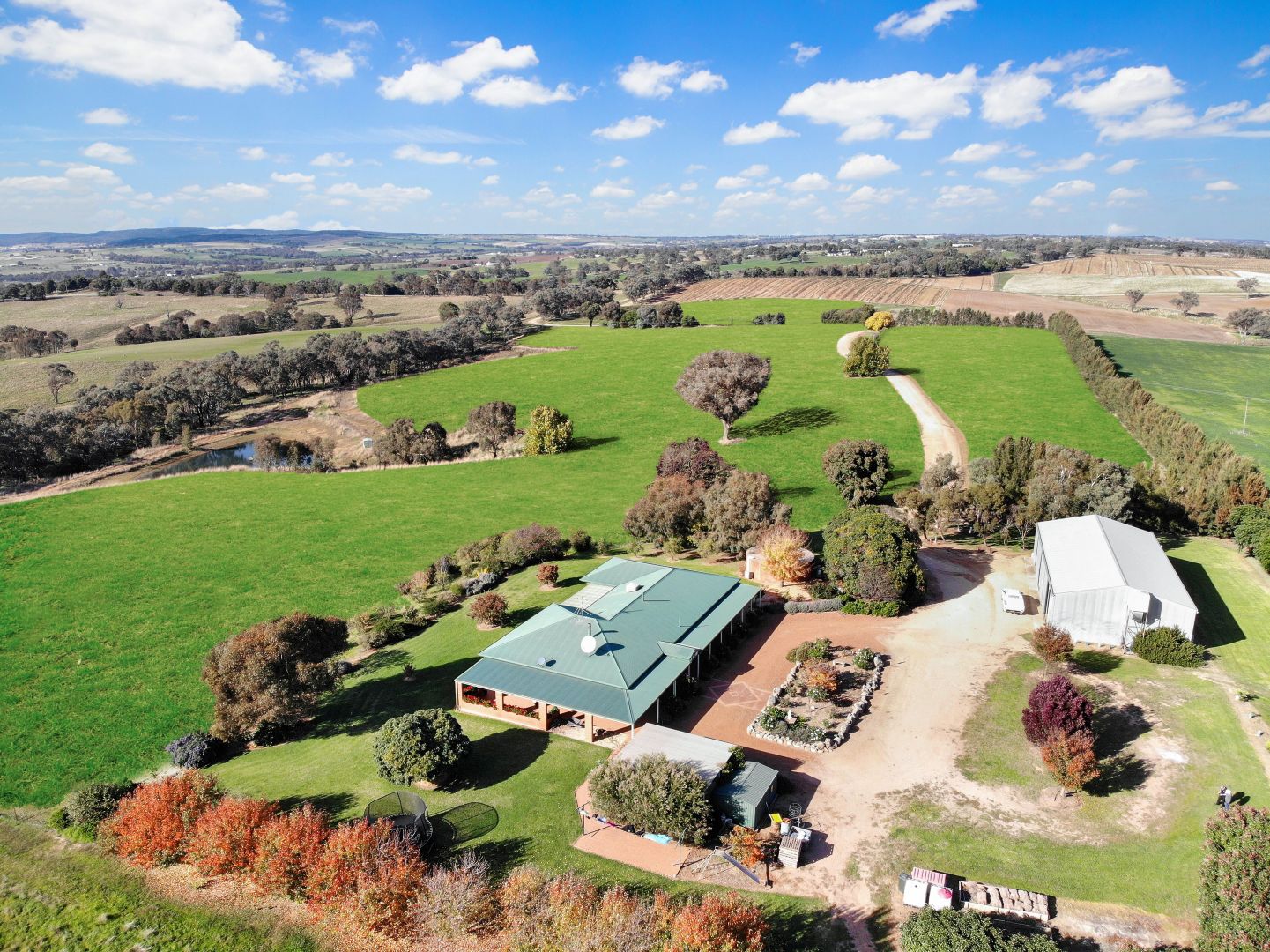 39 Shirrenden Hill Road, Young NSW 2594, Image 1