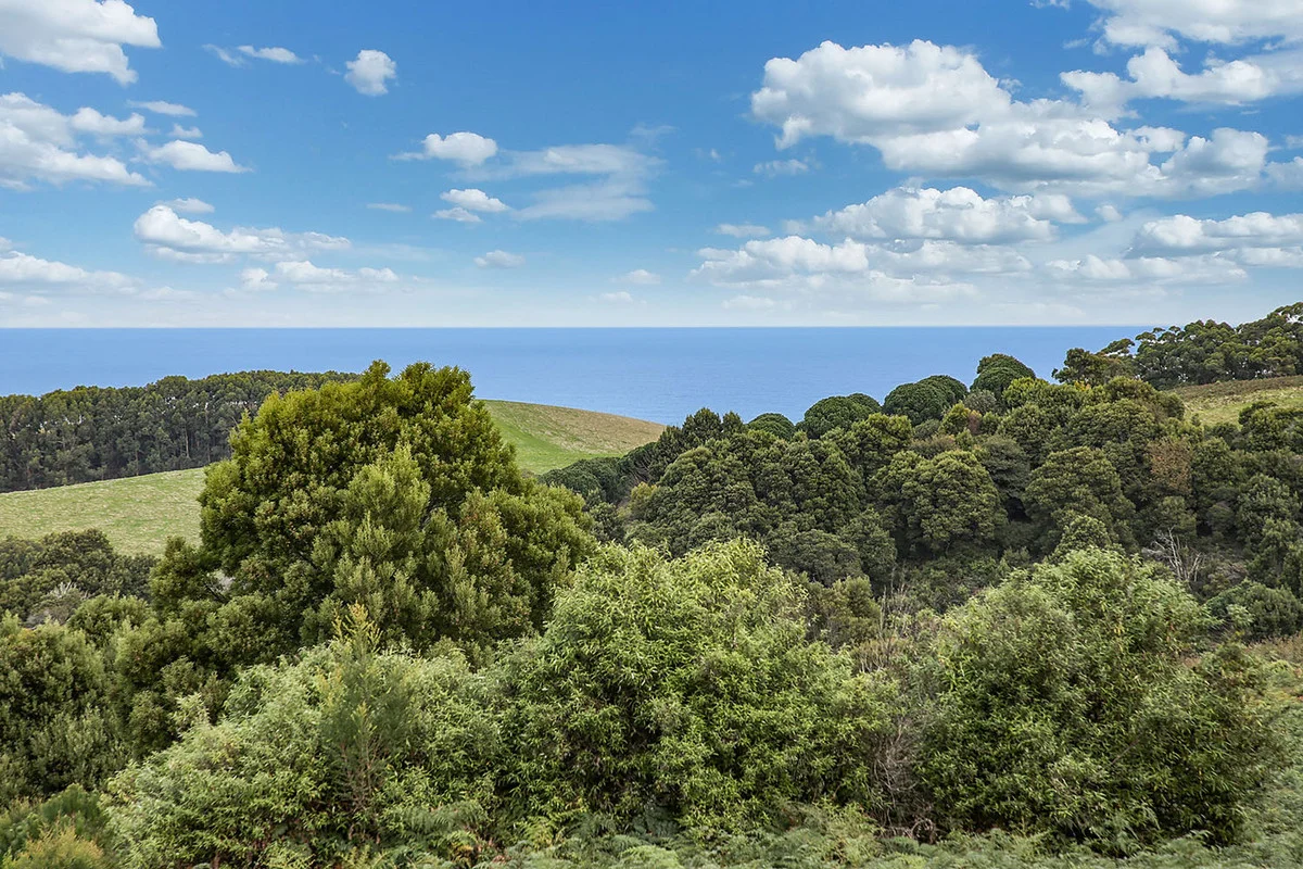 Additional image 22 of 110 Staffords Road, Johanna VIC 3238