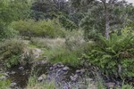 Image 33