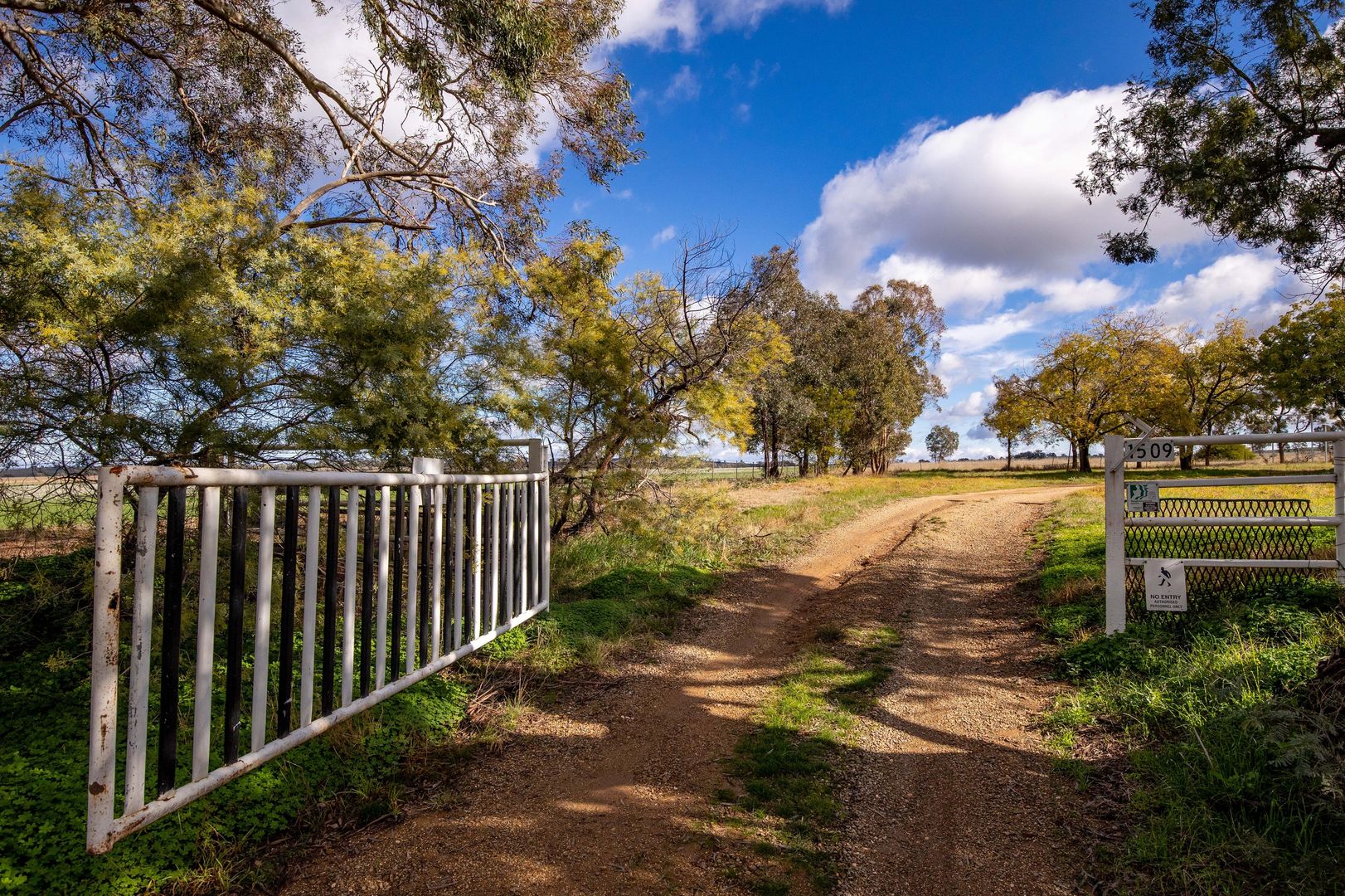 1509 Olympic Highway, Brucedale NSW 2650, Image 1