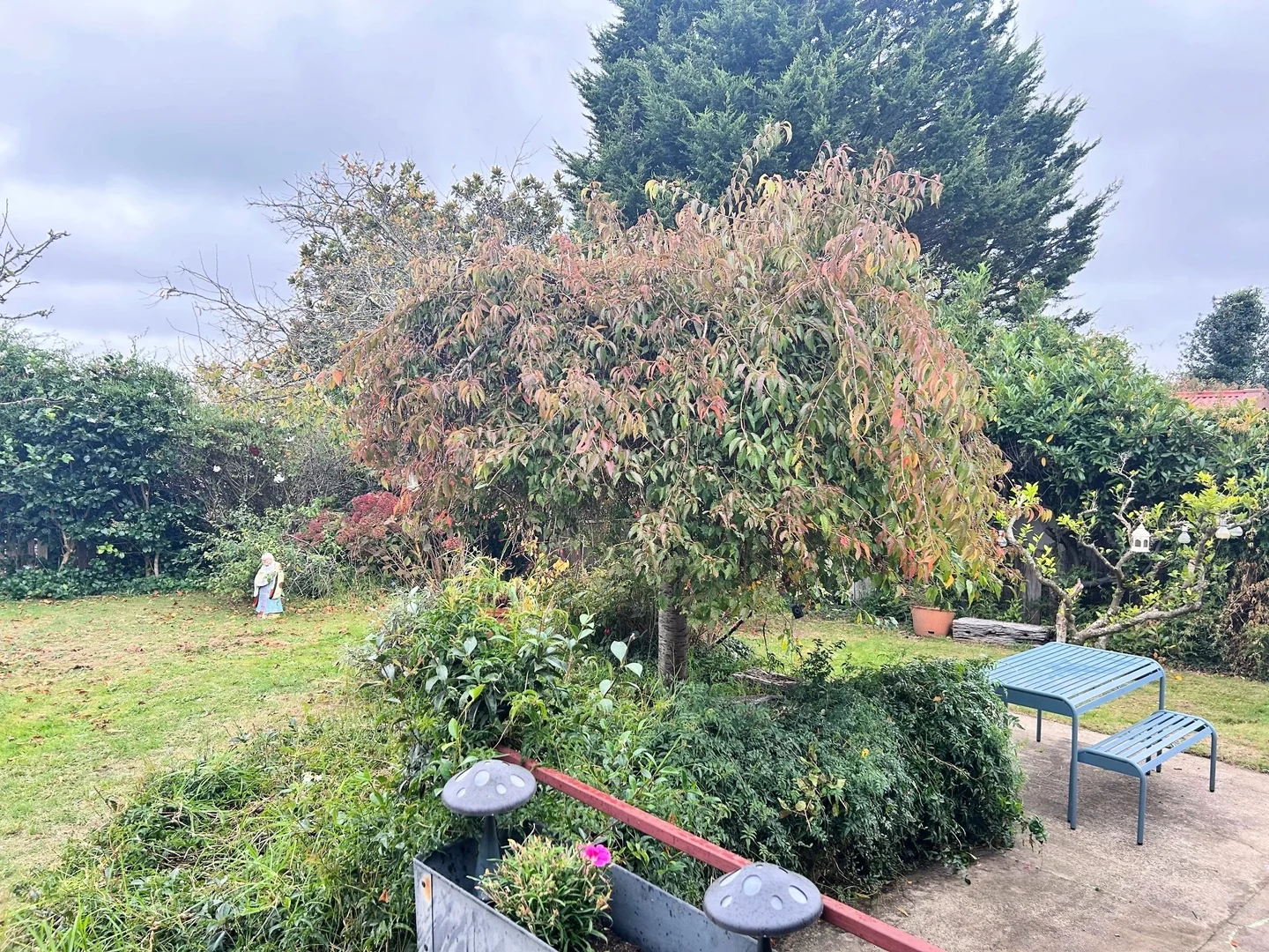 Additional image 17 of 25 Walgett Street, Katoomba NSW 2780