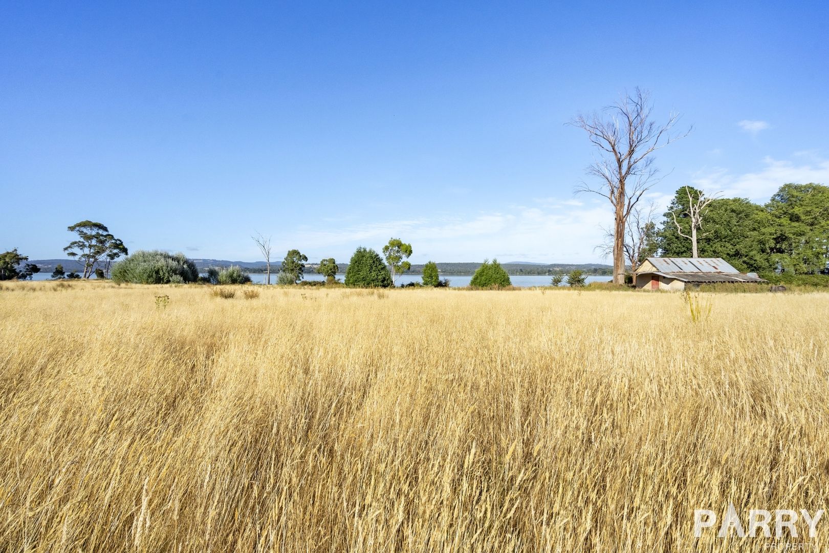 Lot 1 Leam Road, Hillwood TAS 7252, Image 2