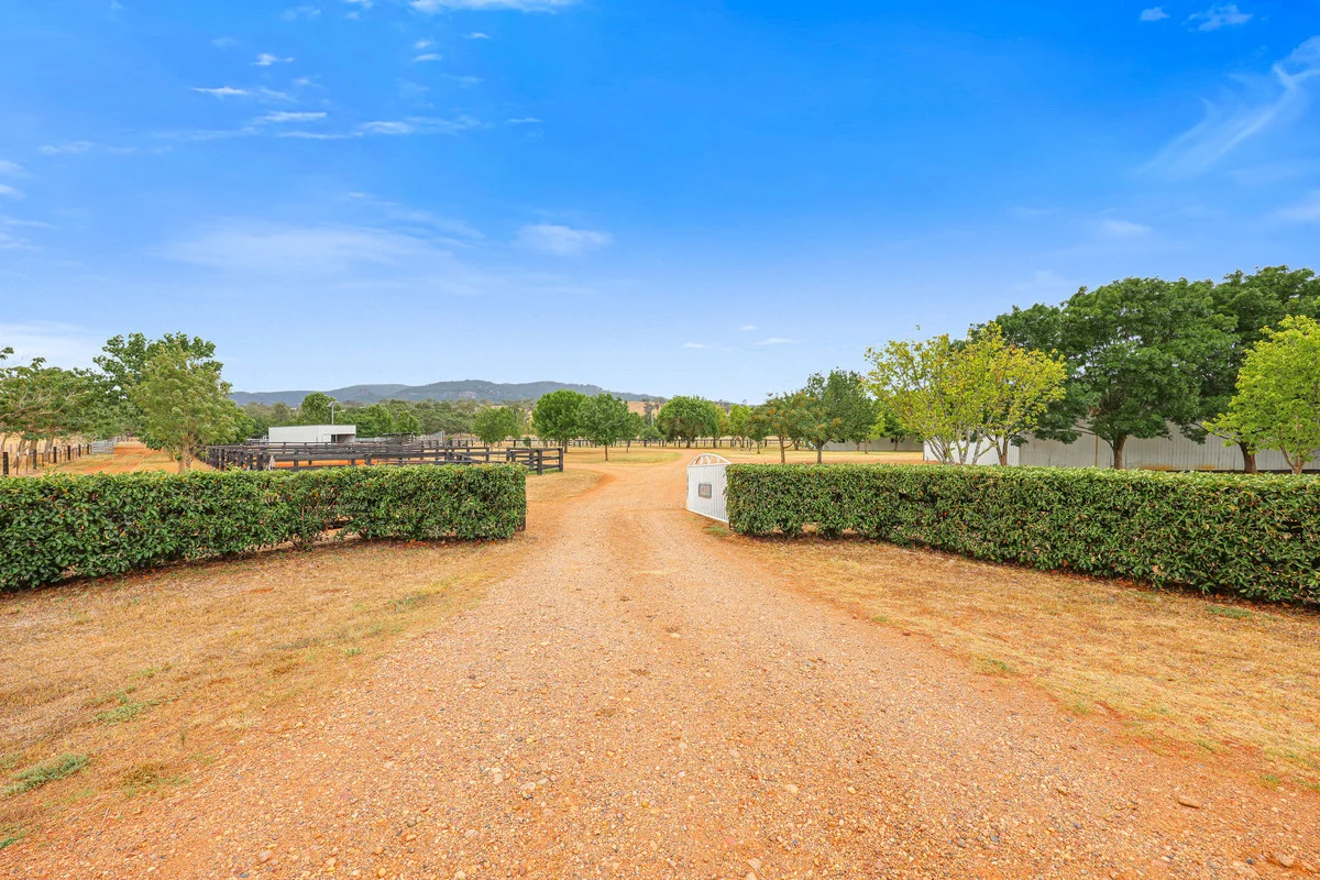 Additional image 13 of 164 Upper Dartbrook Road, Scone NSW 2337