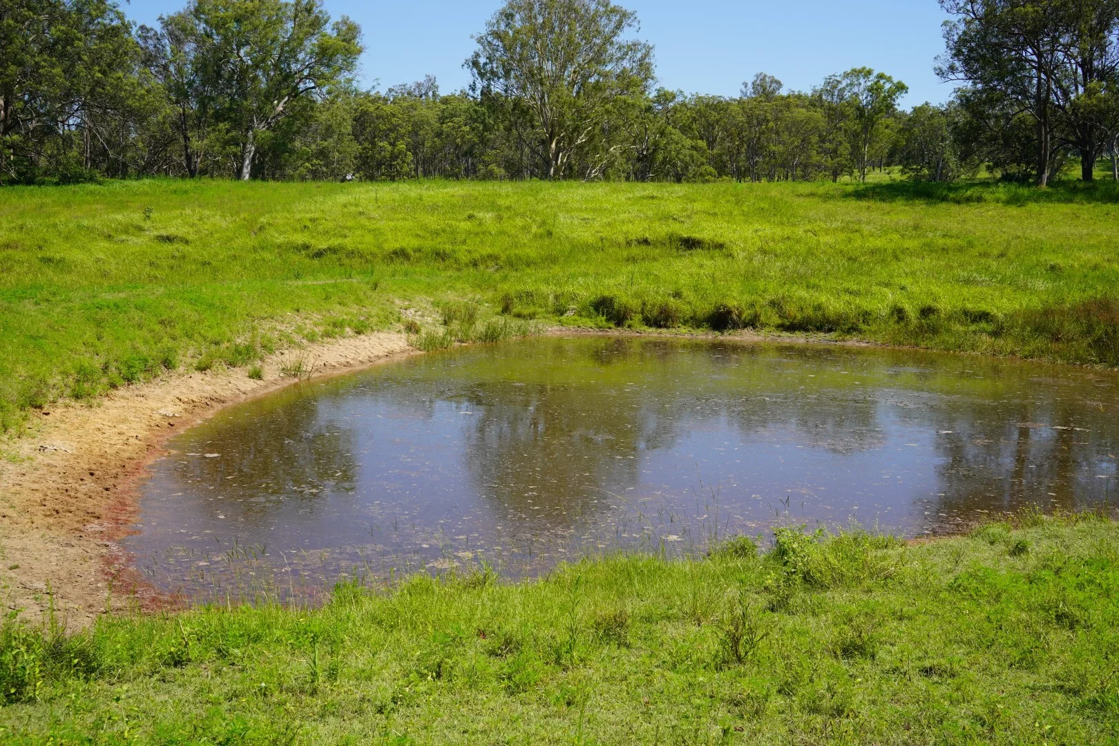 Additional image 27 of 113 Bruxner Highway, Casino NSW 2470