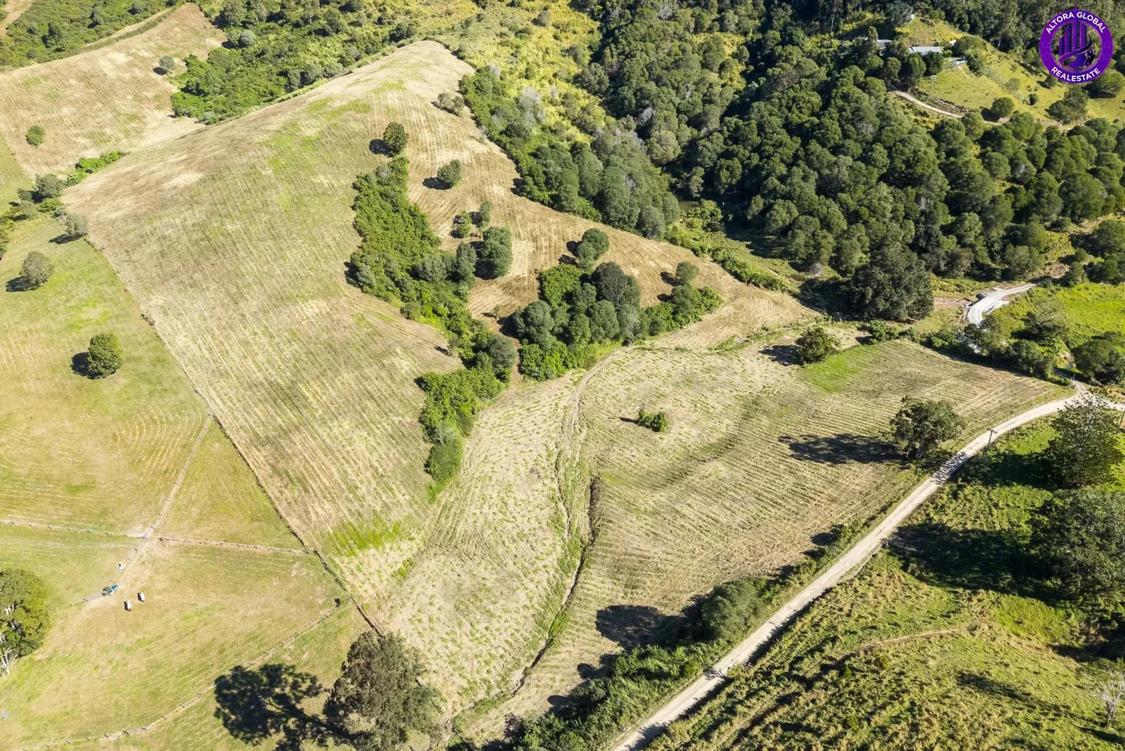 Image 26