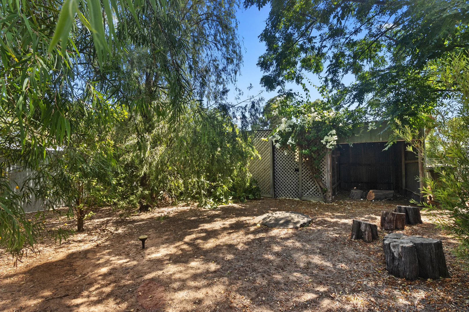 Image 26
