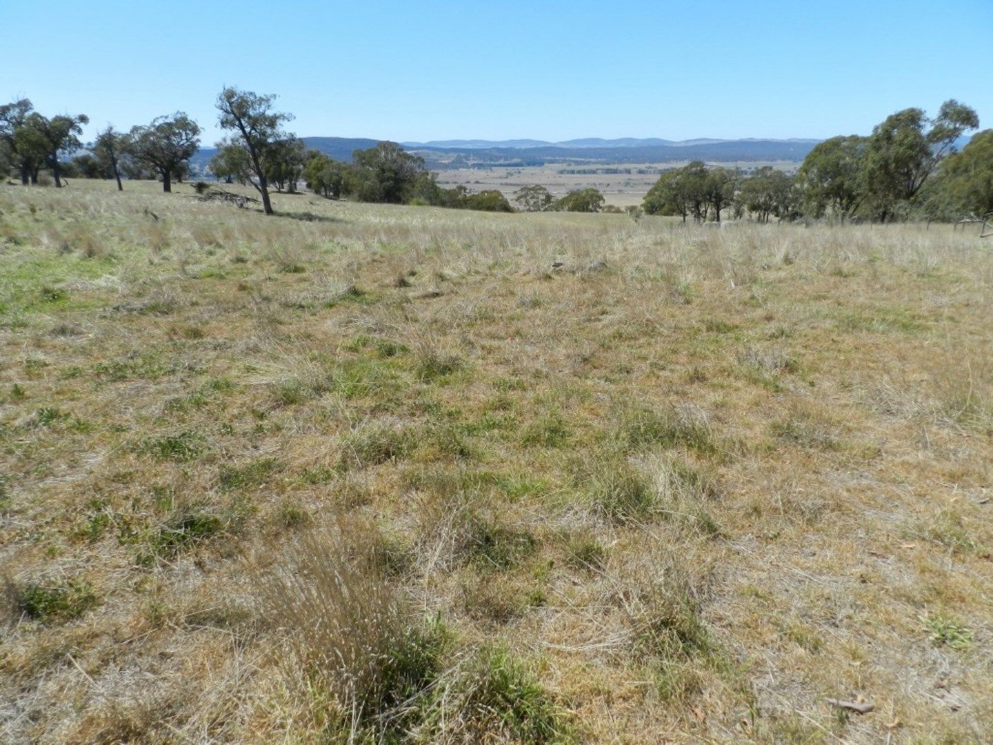 177 Mark Tree Road, Collector NSW 2581, Image 0