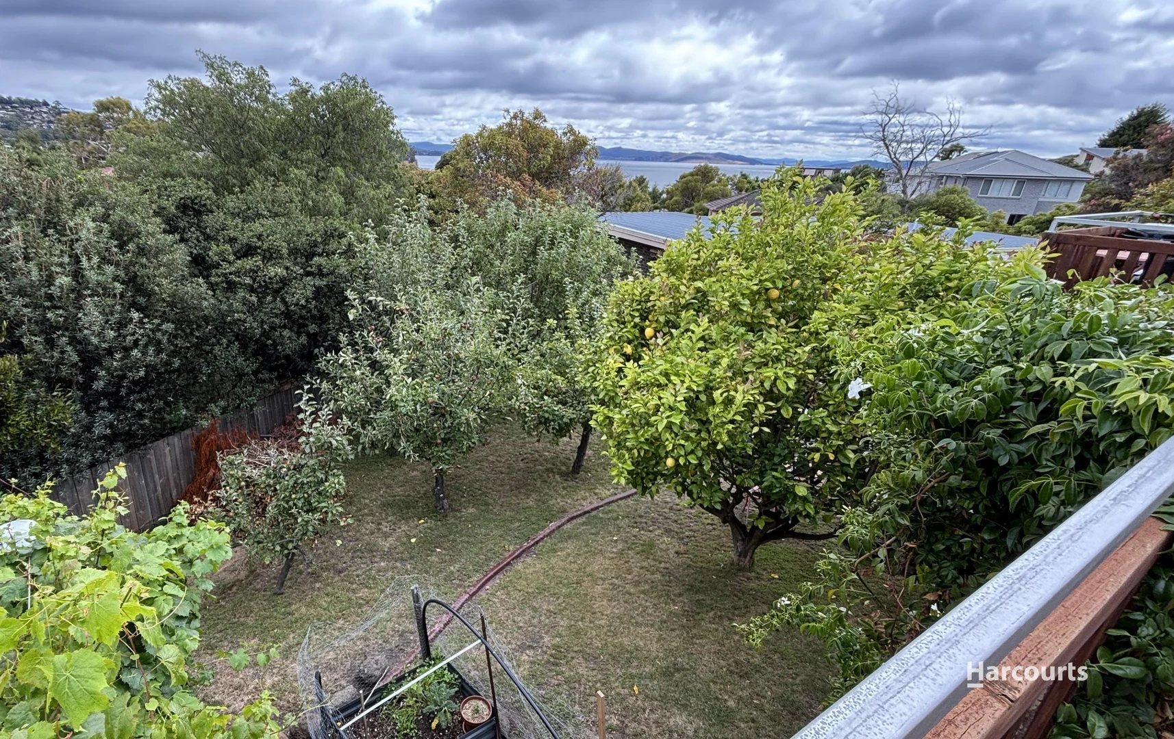 Image 15