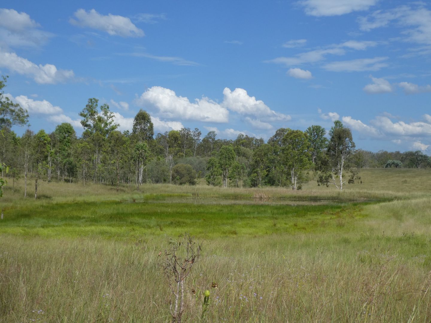 Teebar QLD 4620, Image 2