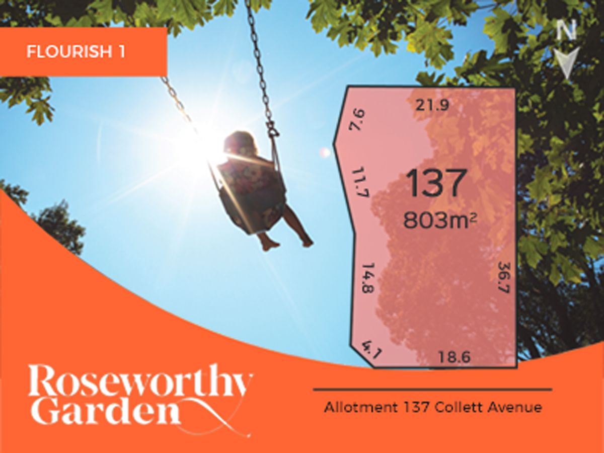 Lot 137 Collett Avenue, Roseworthy SA 5371, Image 0