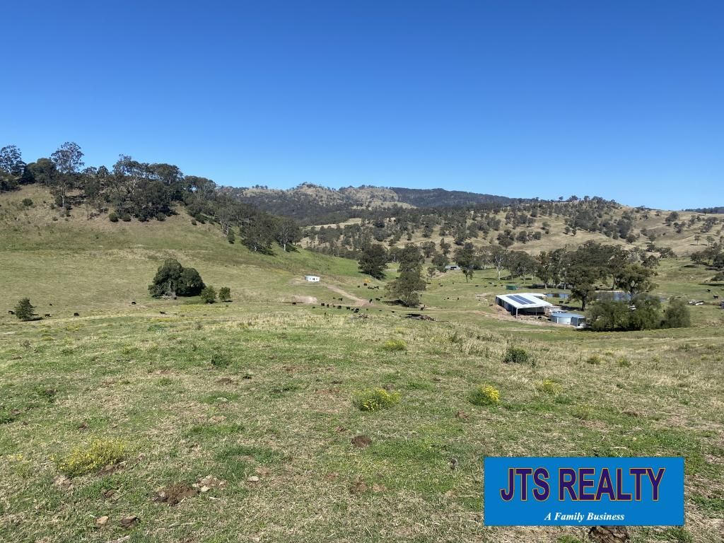 1023 Muscle Creek Road, Muscle Creek NSW 2333, Image 0