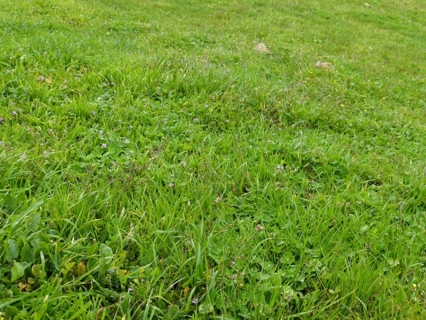 Image 13